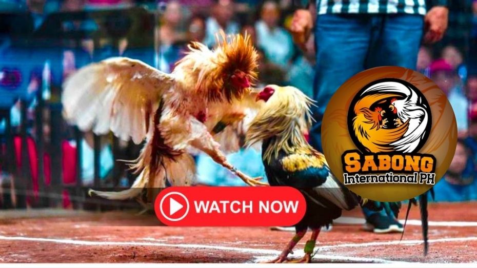 online casino apps superace88 free 100